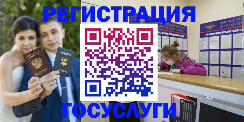 прописка поиск в Алагире